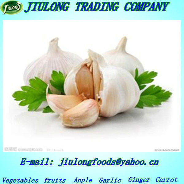 Chinese natural vegetable seeds garlic