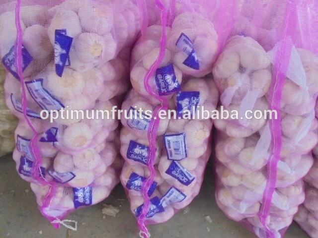 China garlic 1kg bag garlic price