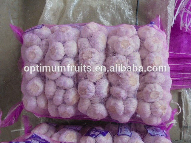 China garlic 1kg bag garlic price