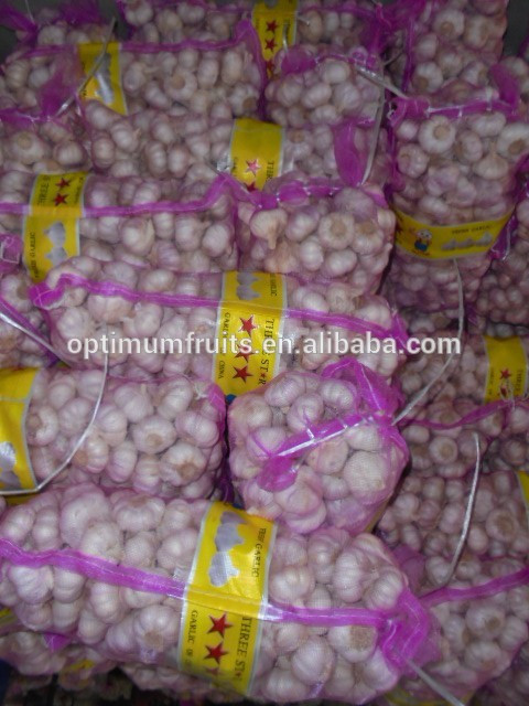 Shandong fresh red garlic in 10kg mesh bag