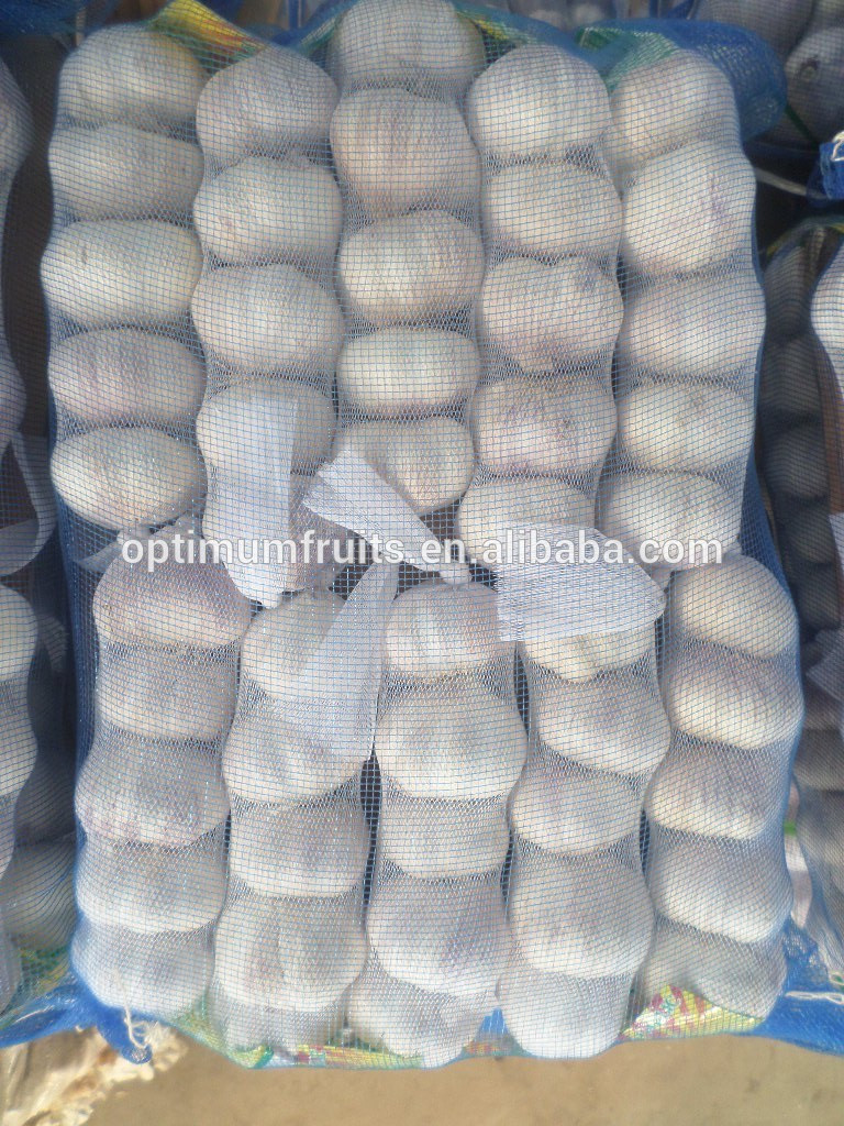 China export fresh garlic price per ton 2017