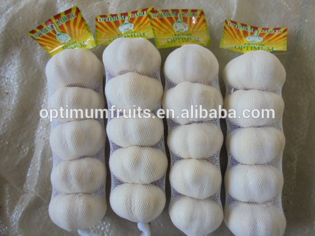 China fresh pure white garlic rates best price
