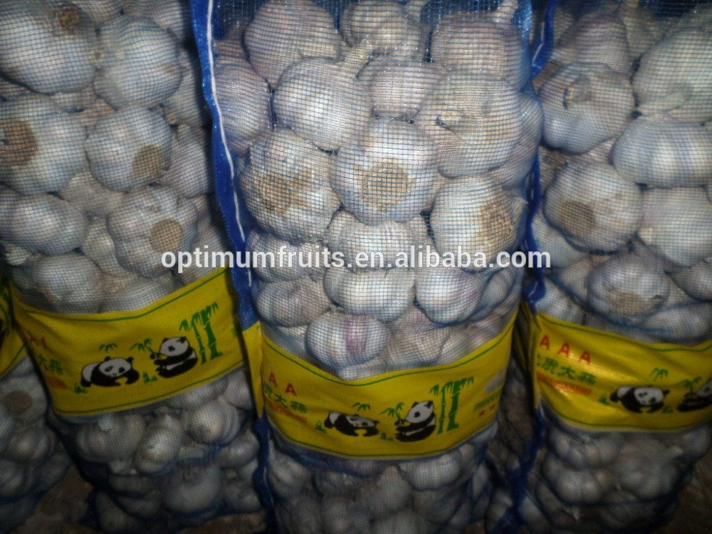 segar bawang putih garlic price