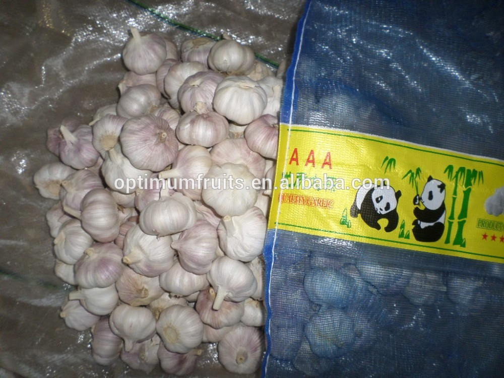 Shandong fresh red garlic in 10kg mesh bag
