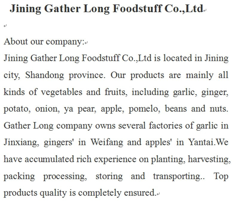 Fresh Jinxiang Garlic in Hot Sale of Competitive Price