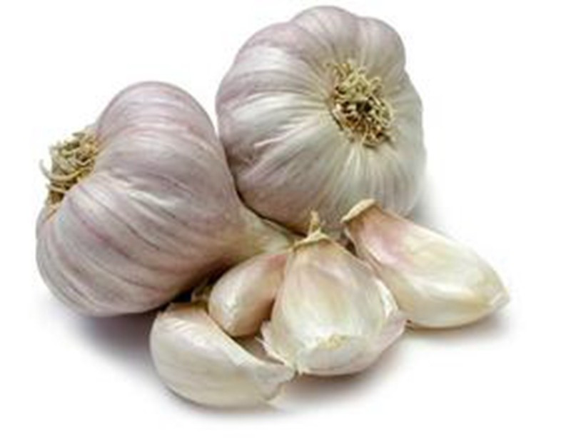 2017 New Crop Garlic Harvest in Hot Sale