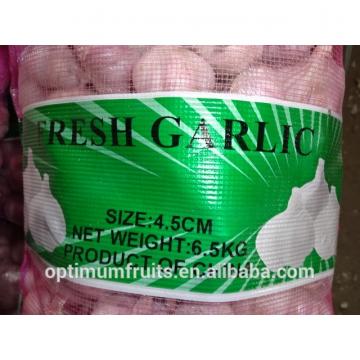 China fresh garlic specification size 4.5-5.0cm
