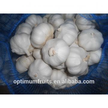 China fresh garlic ajo /alho/ail price per ton