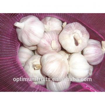 China garlic market price per ton 2017