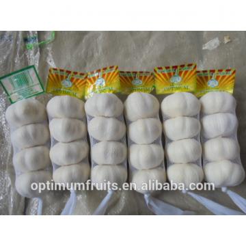 Garlic from China for export with best quality