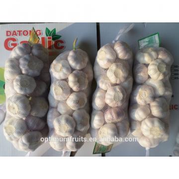 New crop fresh garlic from China