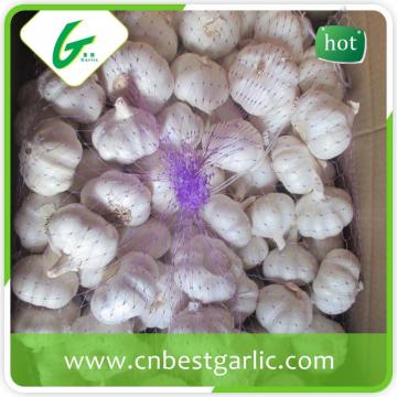 New crop fresh pure white garlic price for sales