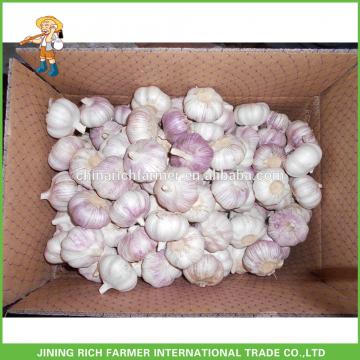 Chinese Normal White Garlic--Rich Farmer Brand