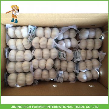 2017 Hot Sale Fresh White Garlic Mesh Bag In Carton Good Price High Quality
