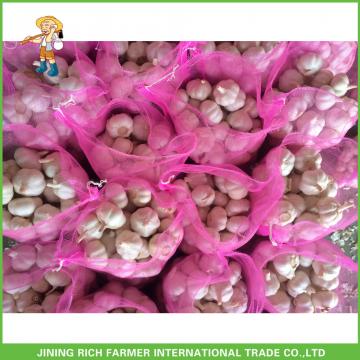 2017 New Crop Fresh Pure White Garlic Mesh Bag In Carton Good Price High Quality