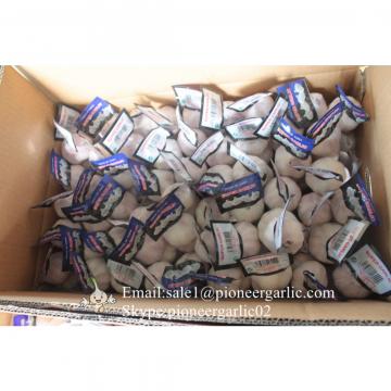 100% Natural Snow White Garlic Packed in Mesh Bag or Carton Box From Jinxiang China