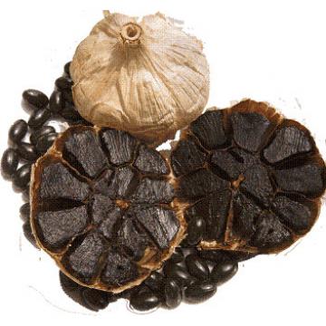 Black Garlic Produced in Jinxiang Best Quality with Good Price