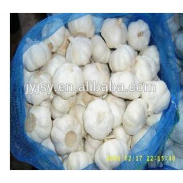 fresh garlic from china 2017 crop