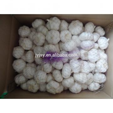 China 2017 Jinxiang Fresh Garlic,garlic Factory