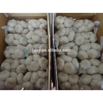 China 2017 Jinxiang Fresh Garlic,garlic Factory