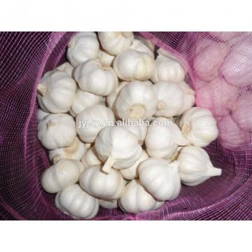 Fresh garlic from china