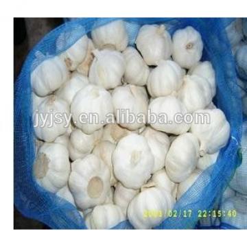 pure white garlic in 2017 china