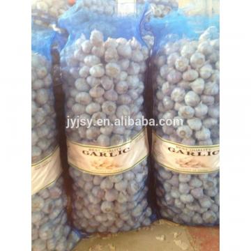 2017 fresh garlic from China jinxiang city