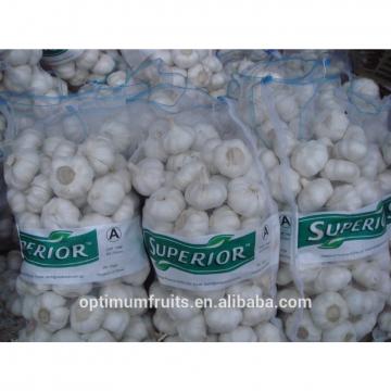 China fresh garlic ajo /alho/ail price per ton