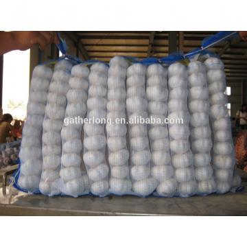 New Crop Garlic with Factory Price in own Plant