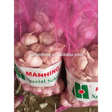 2017 Crop Normal White Garlic pack in 10kg/mesh bag