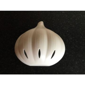 garlic storage white &amp; clear plastic garlic shaped container chef kitchen tool