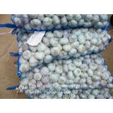 Chinese Fresh Normal White Garlic Packed In Mesh Bag