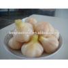 Pickled 2017 year china new crop garlic garlic     #1 small image