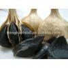 Health 2017 year china new crop garlic Quality  Black  garlic   #3 small image