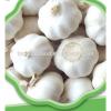 good 2017 year china new crop garlic quality  Chinese  fresh  garlic  for hot sales 4.5cm 5.0cm 5.5cm 6.0cm #3 small image