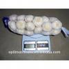 China fresh wholesale garlic price #2 small image