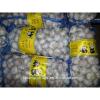 Garlic exporters China sell white garlic (size 5.0cm, 7kg mesh bag) #6 small image