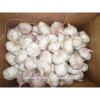 Fresh dry red garlic supplier in China #3 small image
