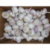 Fresh dry red garlic supplier in China #6 small image
