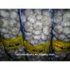 Garlic exporters China sell white garlic (size 5.0cm, 7kg mesh bag) #2 small image