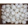 China super natural white garlic best garlic price #1 small image