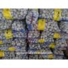 Garlic exporters China sell white garlic (size 5.0cm, 7kg mesh bag) #3 small image
