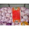 Garlic packaging 20kg Chinese garlic price #5 small image