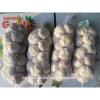 New crop fresh garlic from China #6 small image