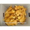 China Shandong garlic&amp;ginger exporters #6 small image