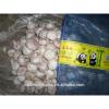 China Shandong jining garlic exporter #1 small image