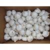 Pure white fresh natural garlic supplier from China #1 small image