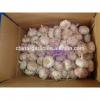 Chinese 2017 New Crop Fresh Garlic Price #3 small image