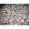 Chinese 2017 New Crop Fresh Garlic Price #4 small image