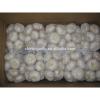 China cold storage fresh Garlic small packing good quality low price #1 small image